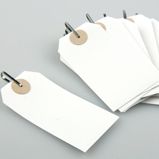 Spring Clip Tags
